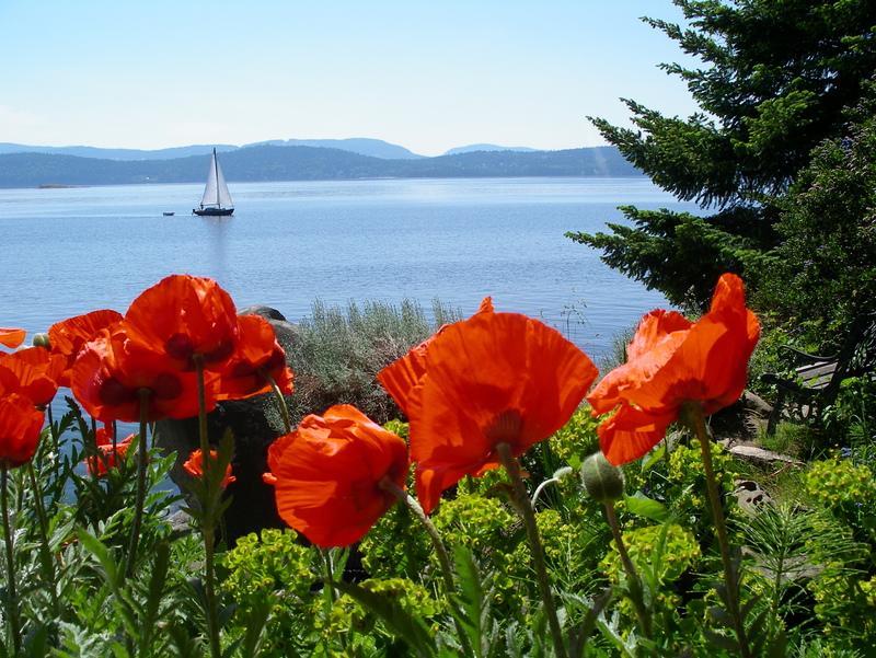 Serenity By The Sea Retreats Montague Harbour Bagian luar foto